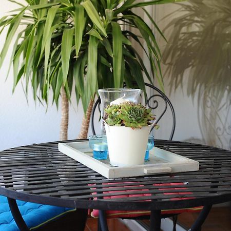 Apartment Zoe 자다르 외부 사진
